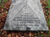 image of grave number 173129